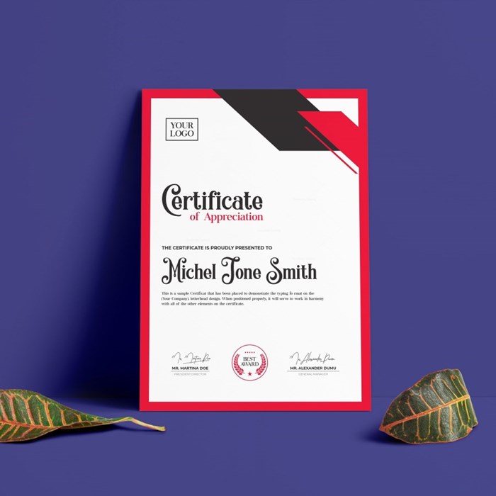Certificate hiện đại